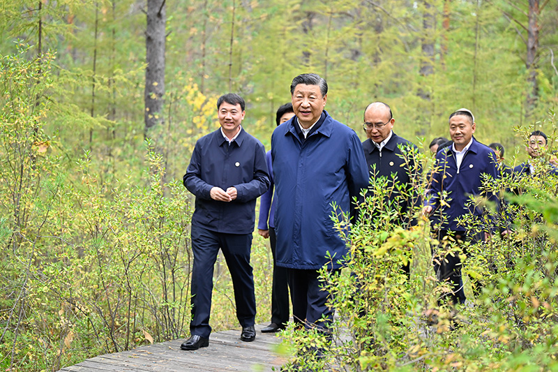 9月6日至8日，中共中央總書記、國家主席、中央軍委主席習(xí)近平在黑龍江考察。這是6日下午，習(xí)近平在大興安嶺地區(qū)漠河市漠河林場(chǎng)自然林區(qū)考察